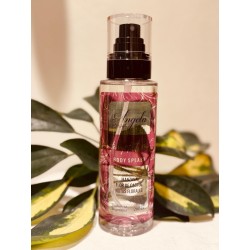 Body splash (linea "v")