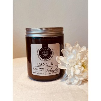 Vela de Cancer